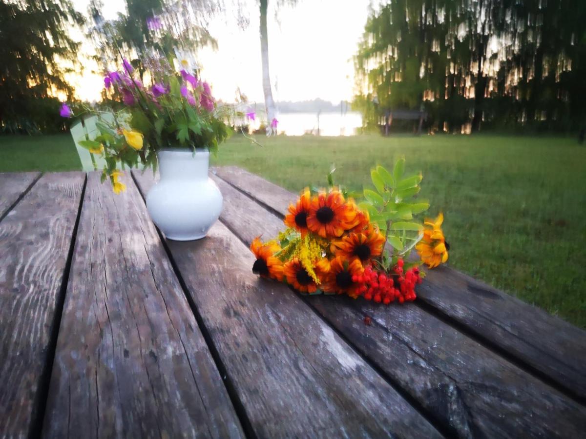 Dvinumajas Villa Balvi Eksteriør billede