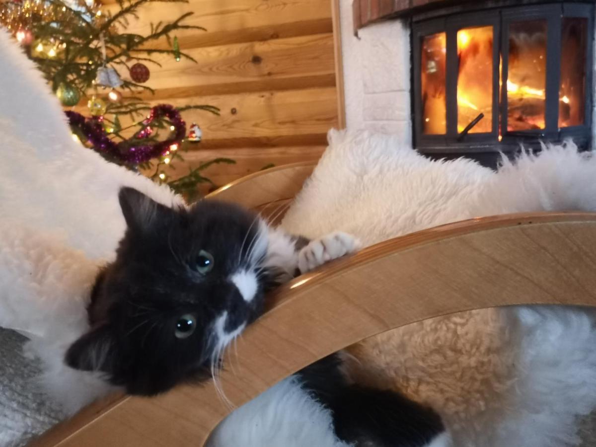 Dvinumajas Villa Balvi Eksteriør billede