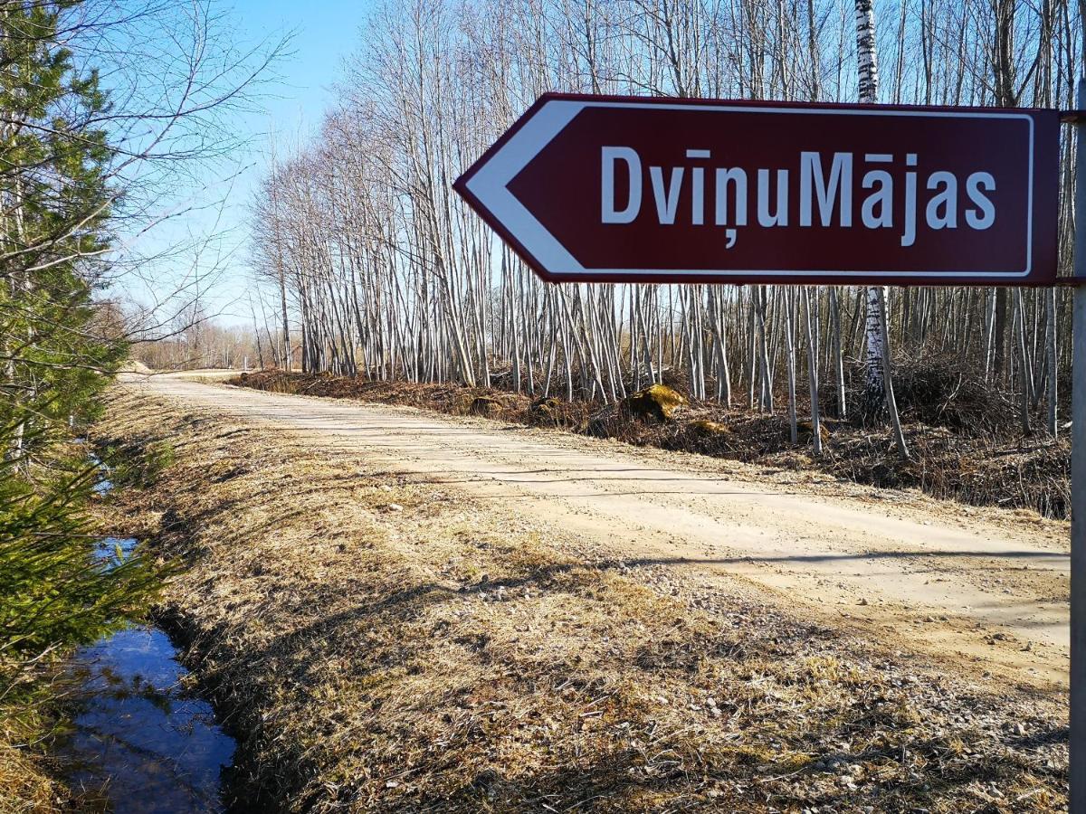 Dvinumajas Villa Balvi Eksteriør billede