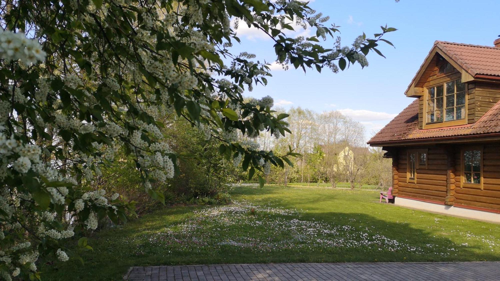 Dvinumajas Villa Balvi Værelse billede