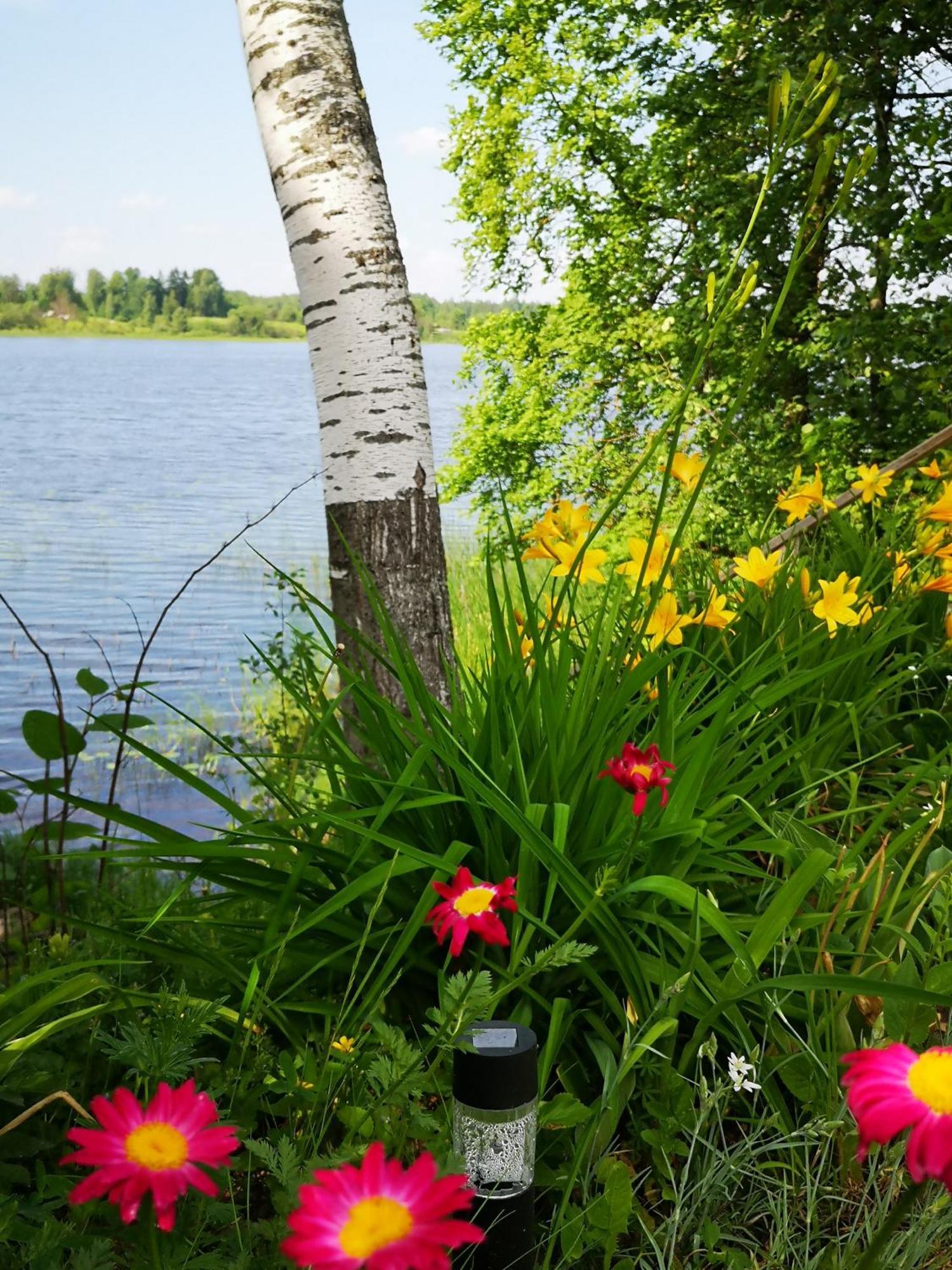 Dvinumajas Villa Balvi Eksteriør billede